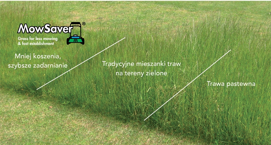 Trawa gazonowa Barenbrug Mow Saver Robot&Mulch 5kg