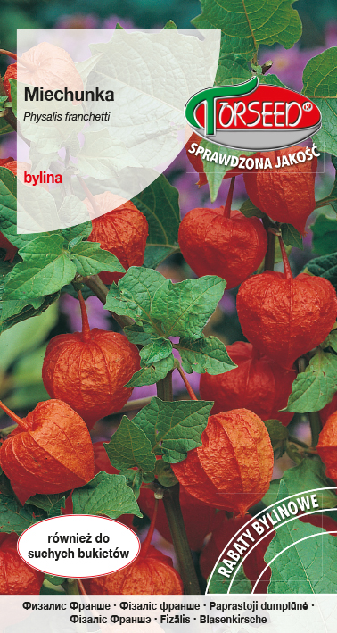 Miechunka - Physalis alkekengii pomarańczowa 0,5g