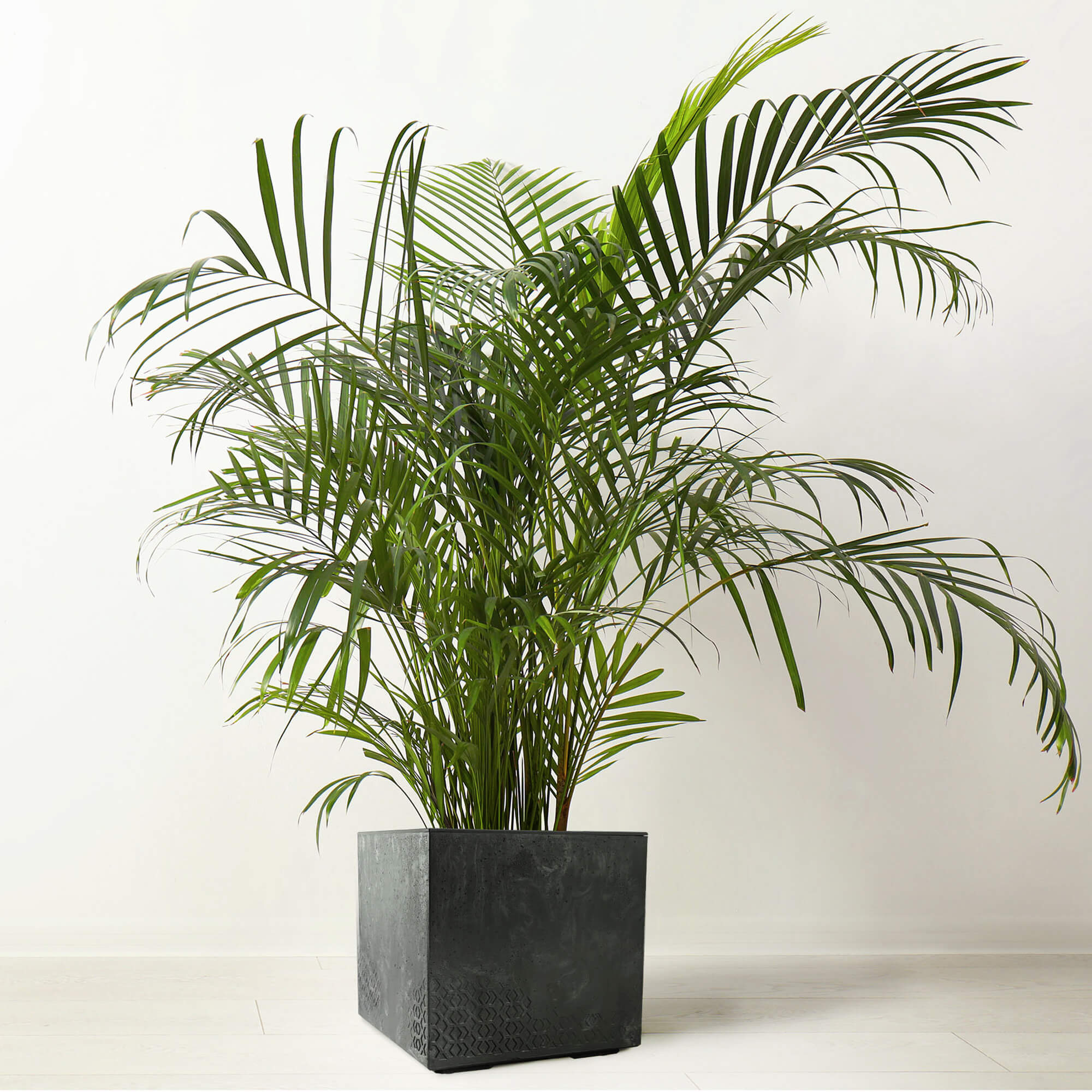 Donica na kółkach Sore 40cm czarny beton