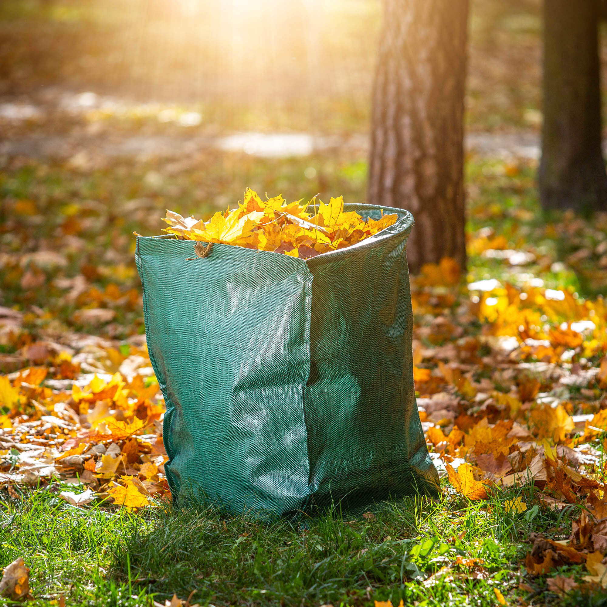 Składany kosz ogrodowy Montbard 200L zielony