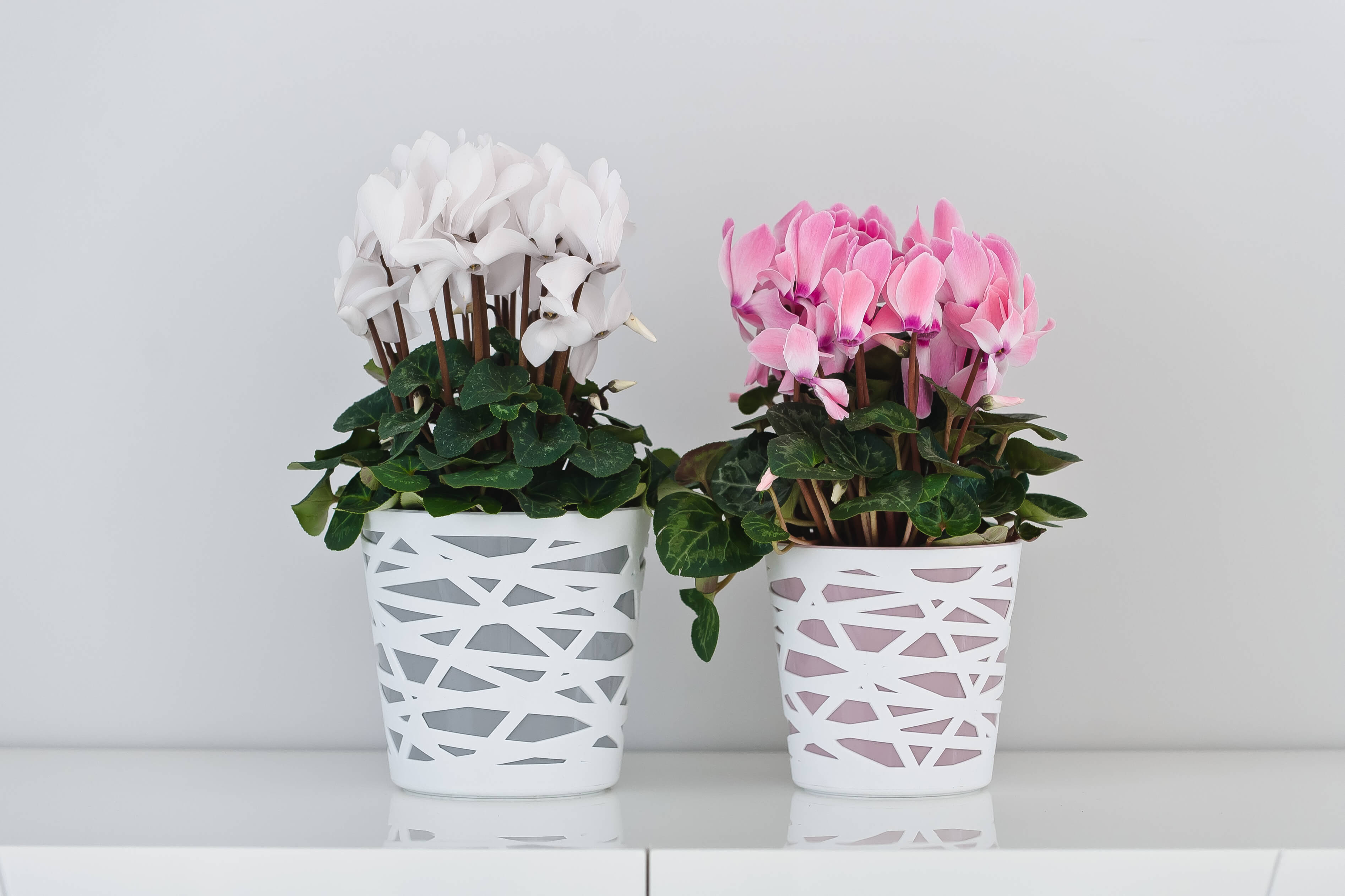 Doniczka z wkładem Rusio 13 cm, różowa
