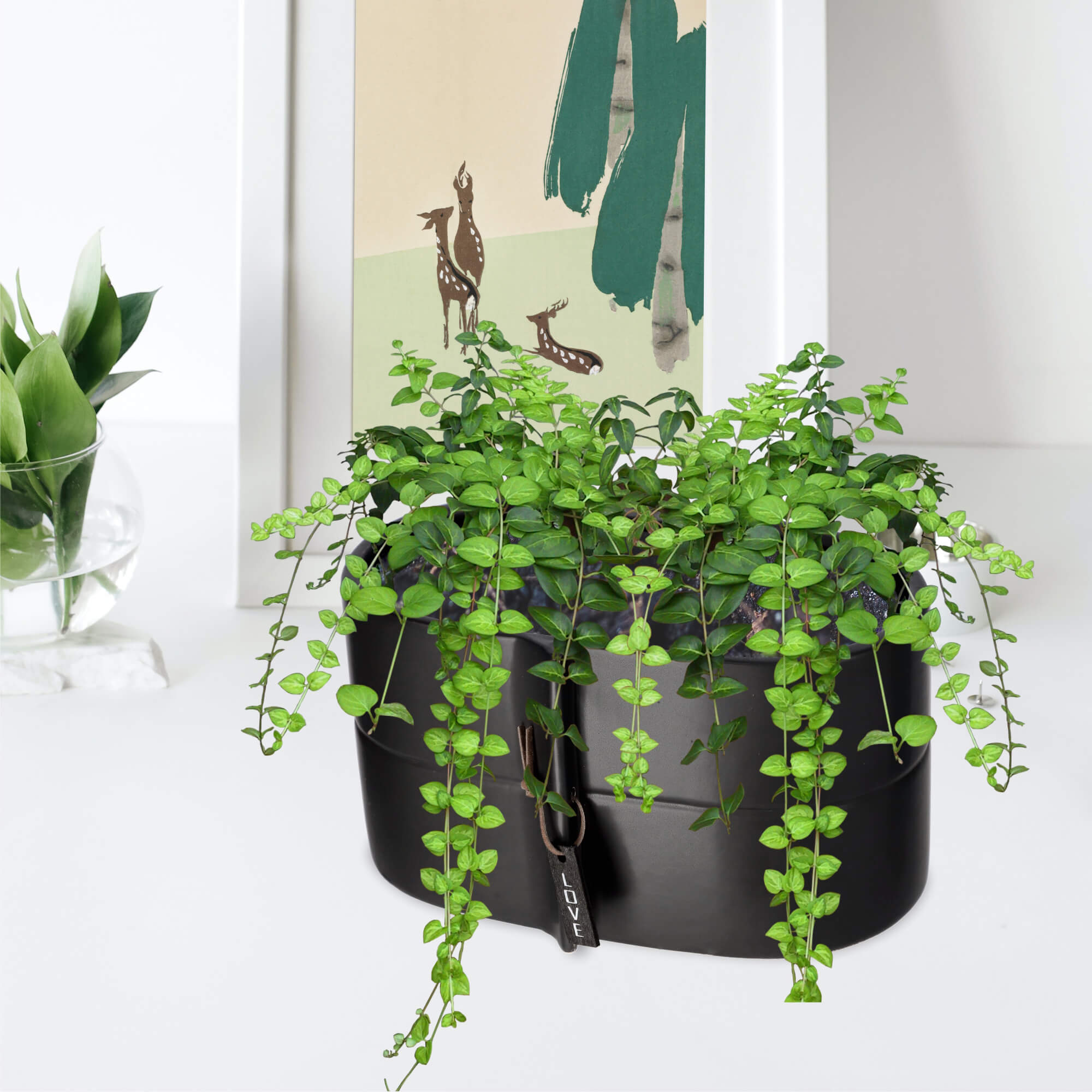 Osłonka ceramiczna Lemps na kwiaty 22 x 12 cm, czarna