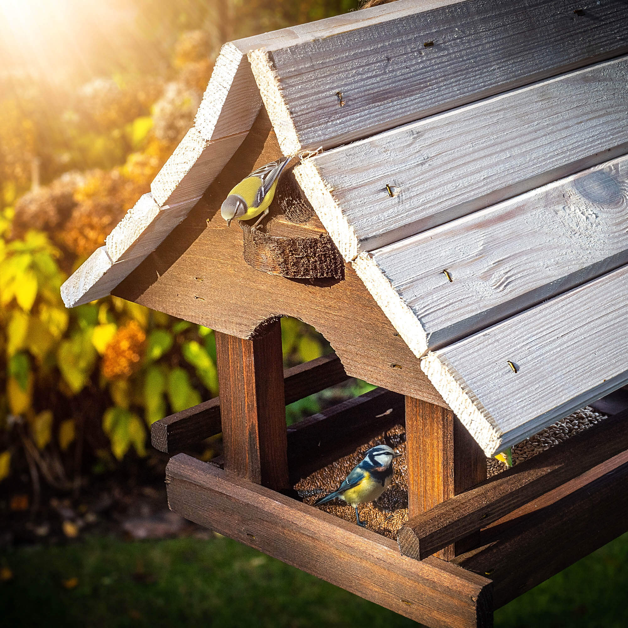 Karmnik dla ptaków Arbis domek 30 x 25 cm brązowo-biały