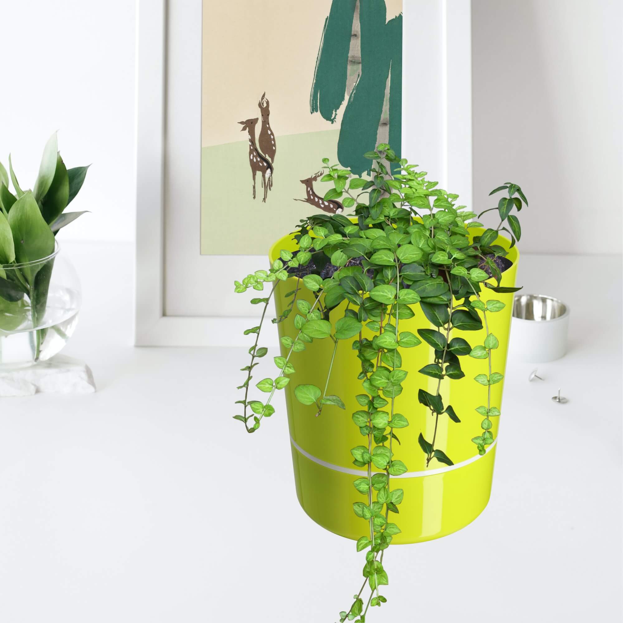 Doniczka na kwiaty okrągła Chisa 25 cm, limonkowa