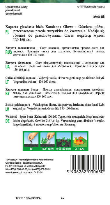 Kapusta głowiasta biała Kamienna Głowa 2g