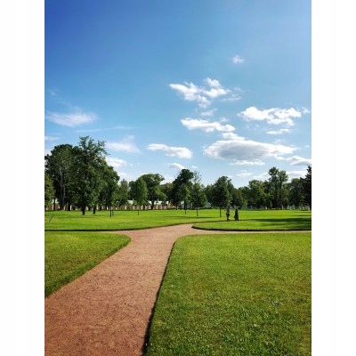 Trawa odporna na cień i słońce Barenbrug Shadow&Sun 5kg