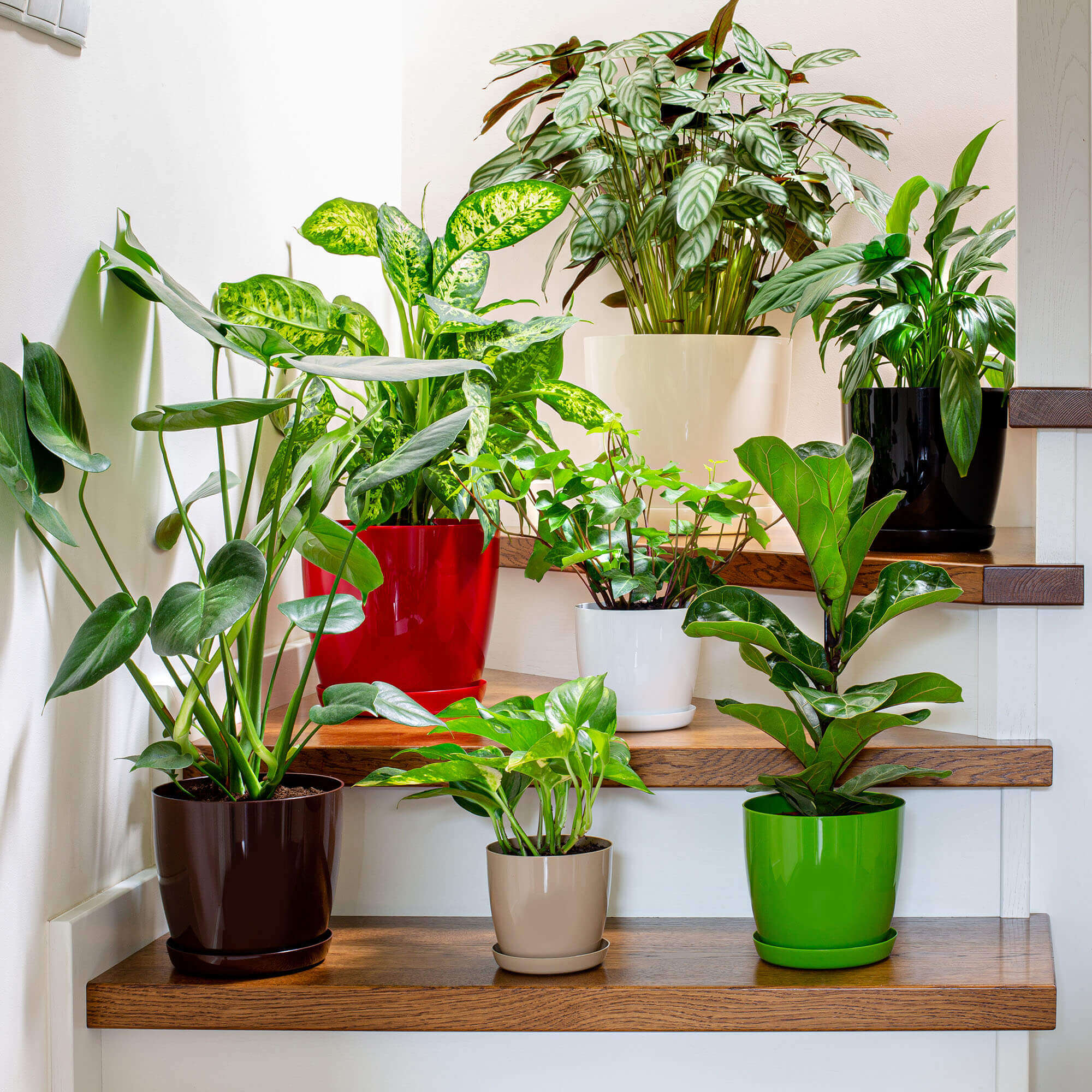 Doniczka na kwiaty z podstawką 14 cm, grafitowa