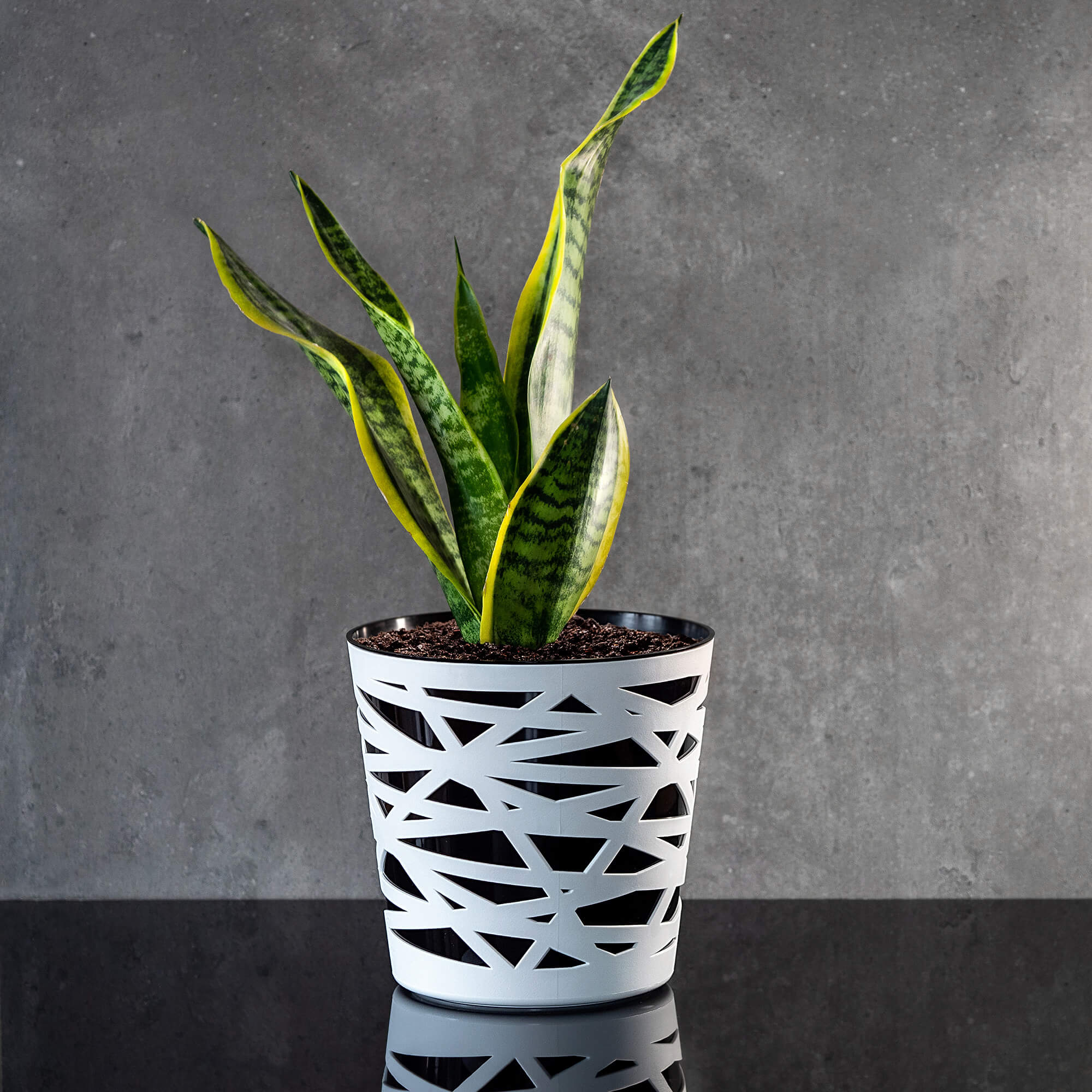 Doniczka z wkładem Rusio 19 cm, czarna