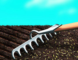 Trawa regeneracyjna Barenbrug SOS Quick Repair 15kg