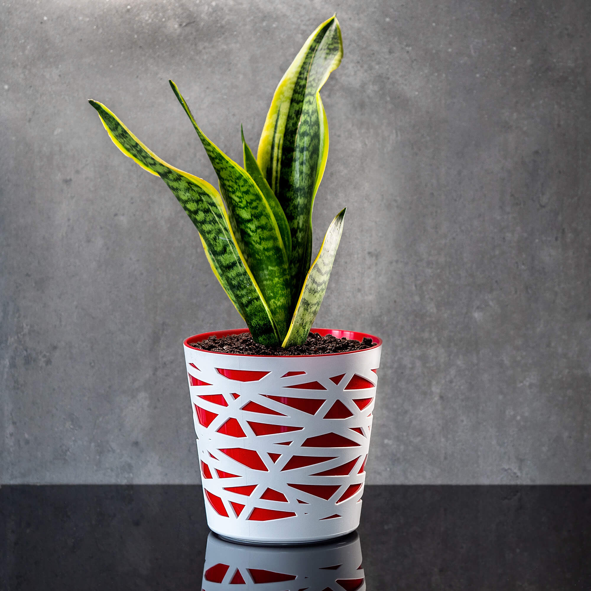 Doniczka z wkładem Rusio 15 cm, czerwona