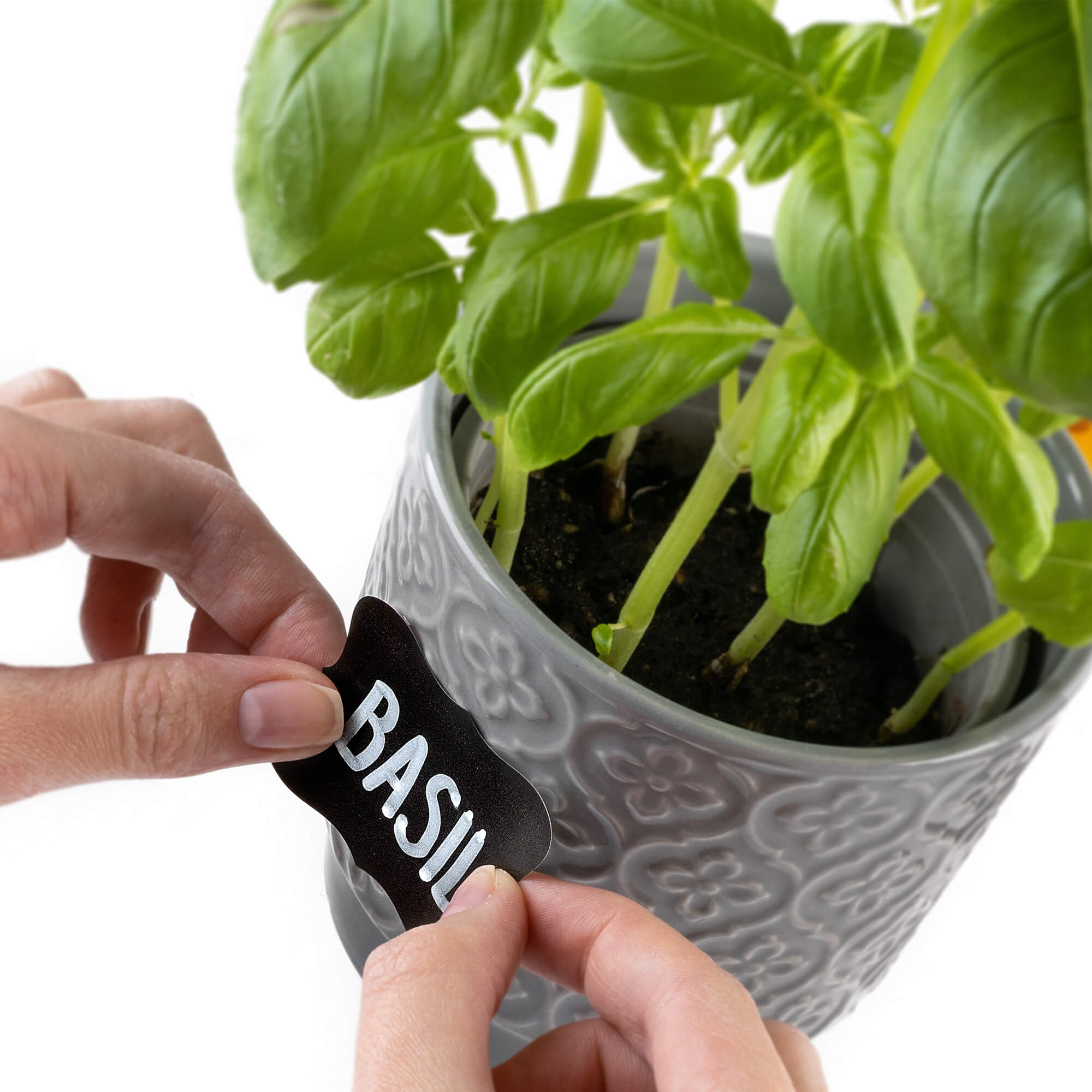 Pisak kredowy do przetworów Carro biały