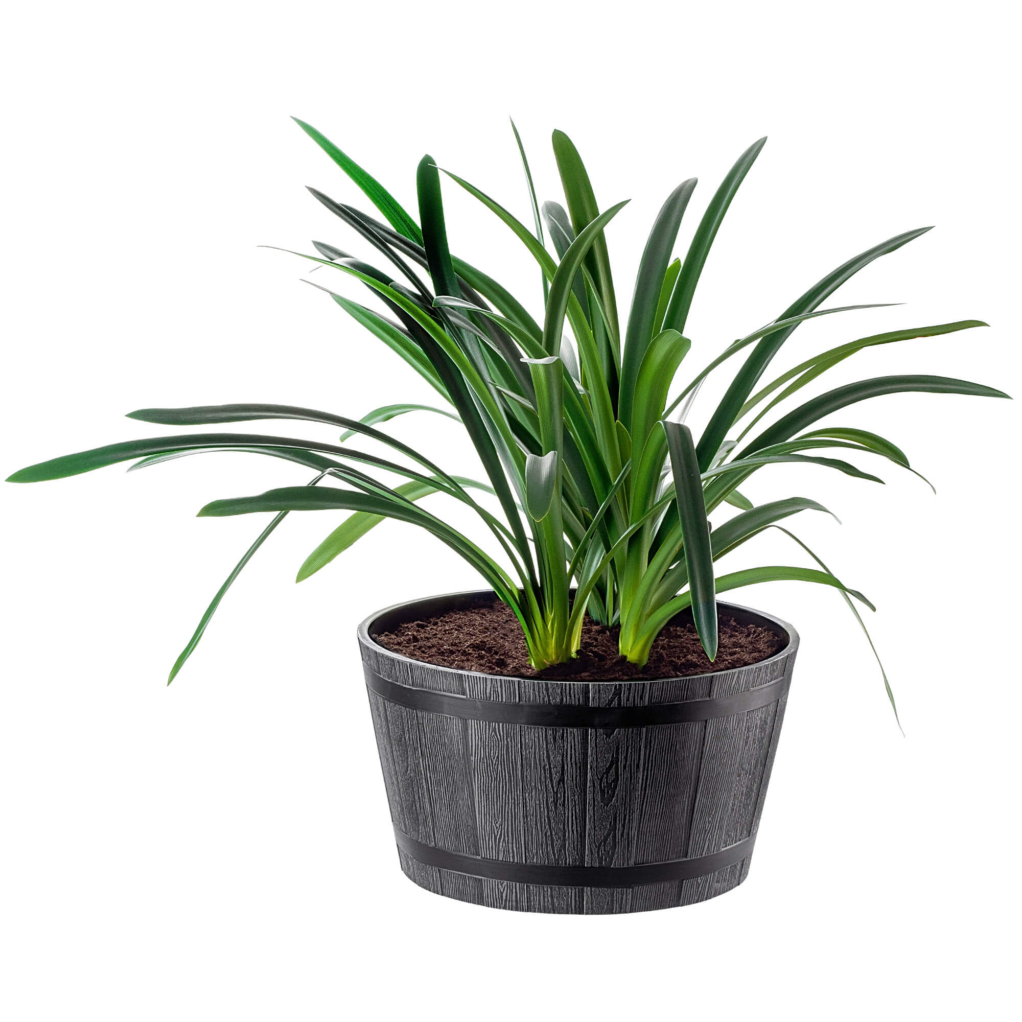 Donica na kwiaty Sori 50 cm ciemny szary