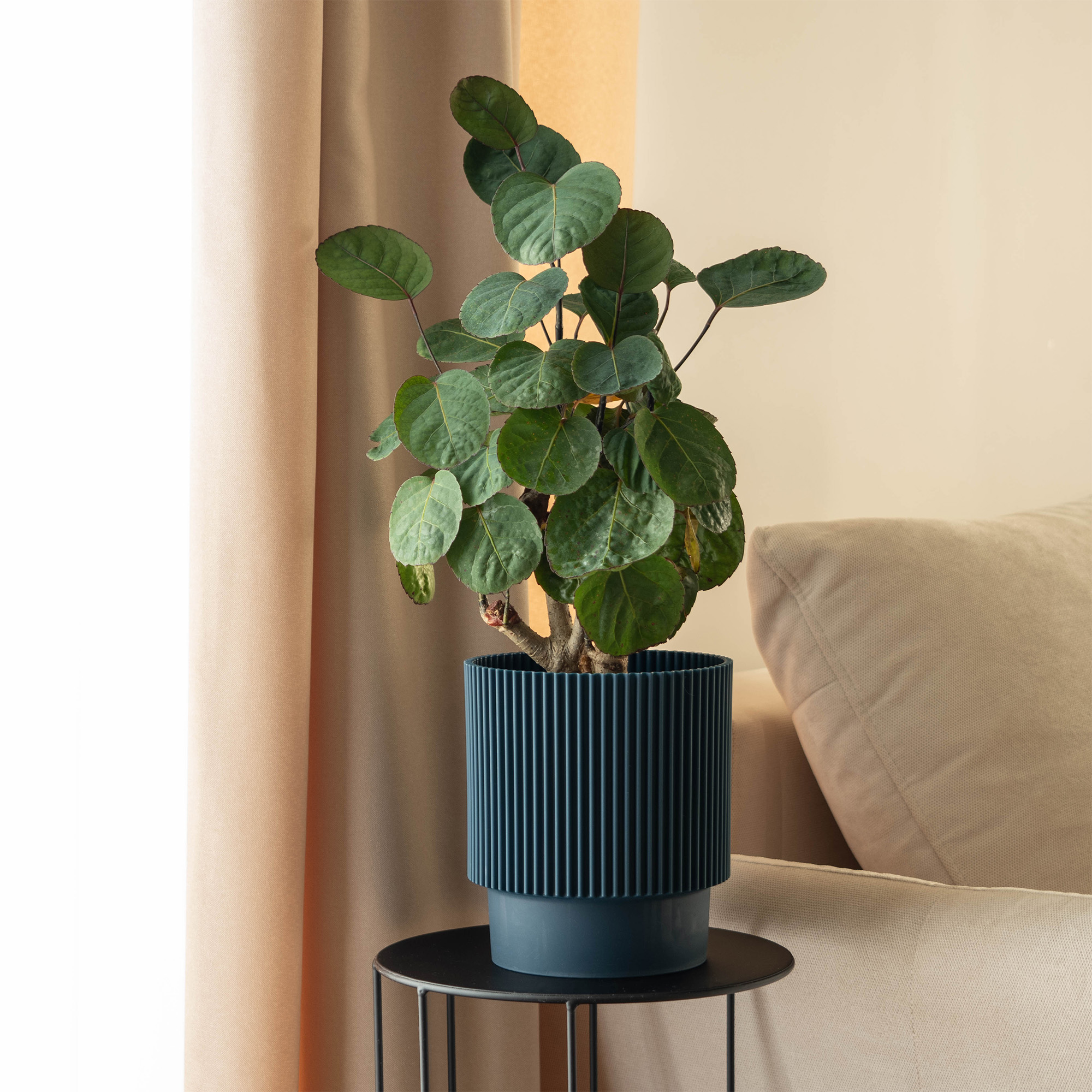 Doniczka na kwiaty Aldeia 14cm granatowy