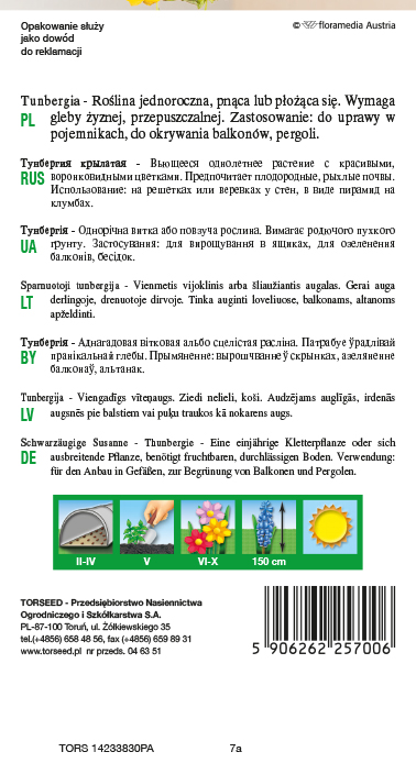 Tunbergia - Thunbergia alata pnącze - żółte z czarnym oczkiem 0,5g