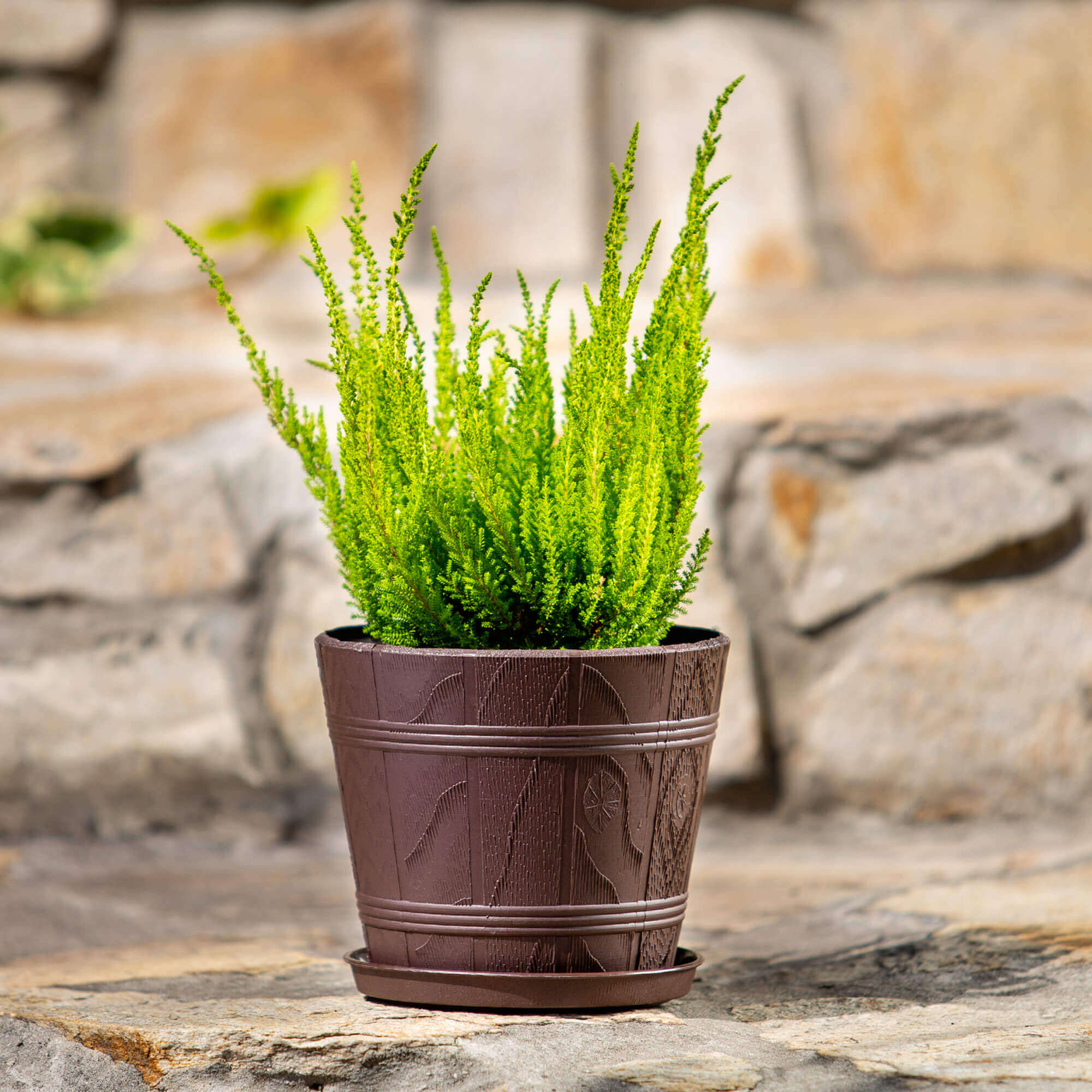 Doniczka drewnopodobna z podstawką Pula 22 cm, brązowa