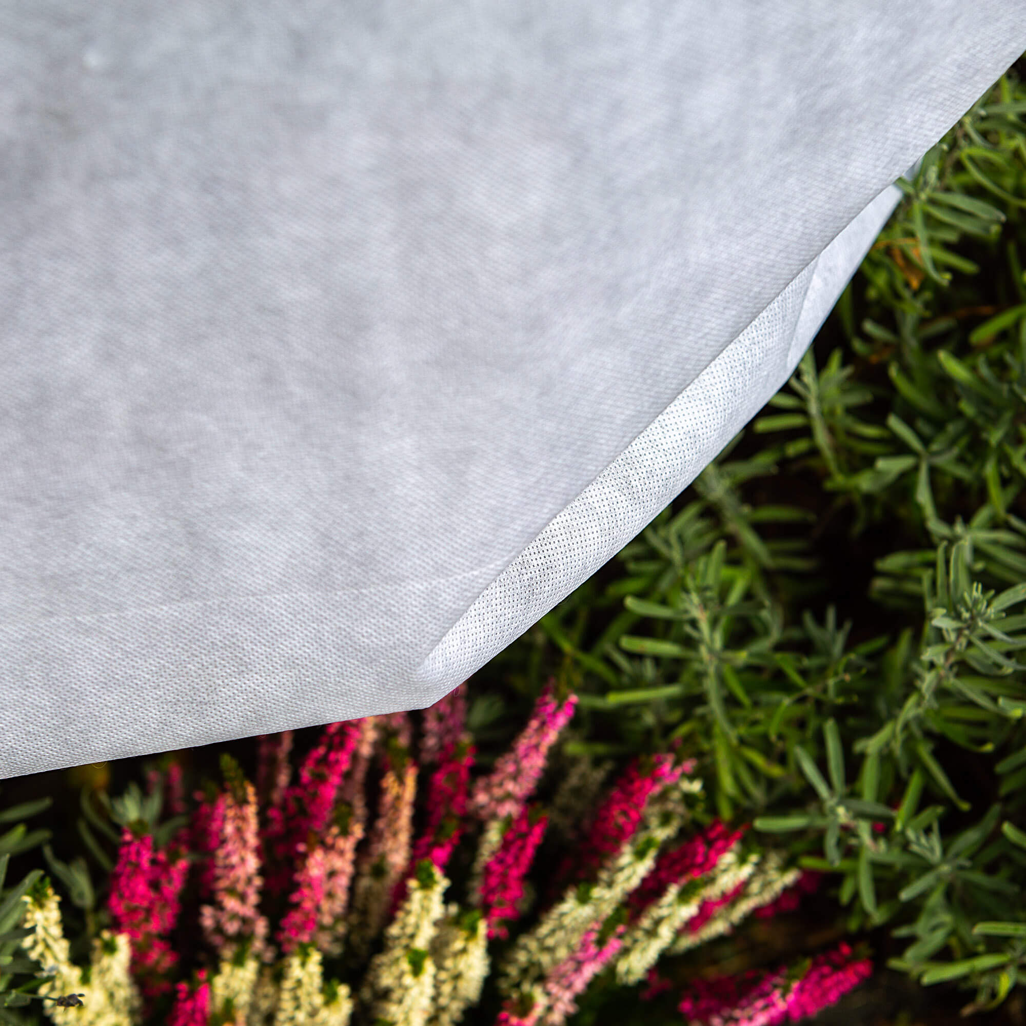 Kaptur ochronny na rośliny Vatan 1 x 1.6 m 50 g/m² biały 1 szt.