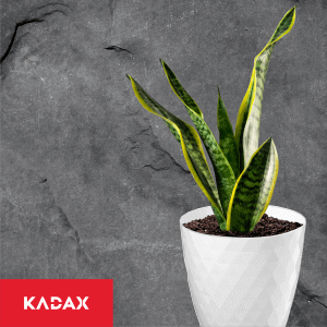 Doniczka na kwiaty z podstawką Amily 30 cm, biała