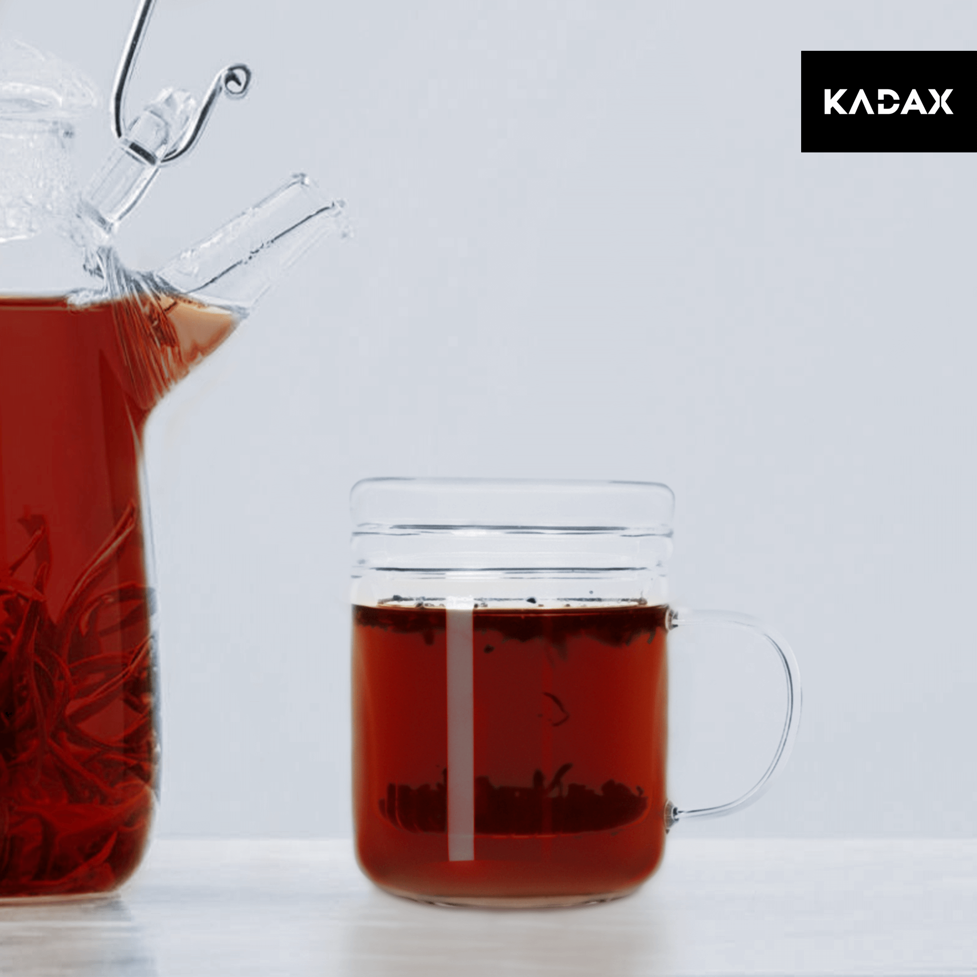 Kubek z zaparzaczem do herbaty i ziół Braud, 310 ml
