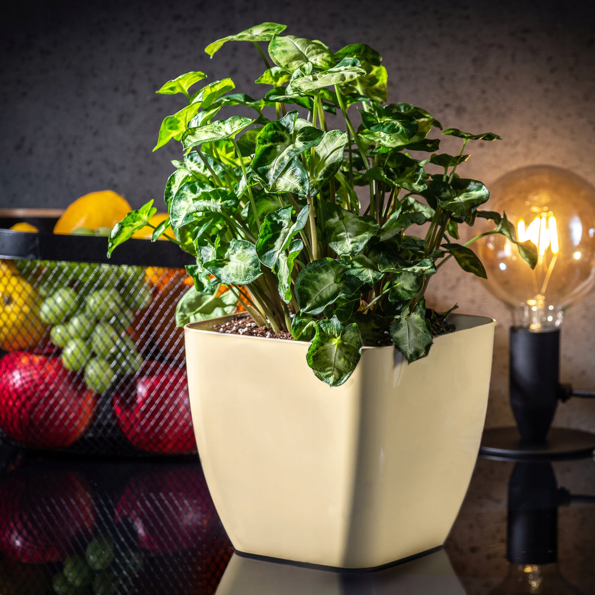 Doniczka kwadratowa Borgo 20 cm, kremowa