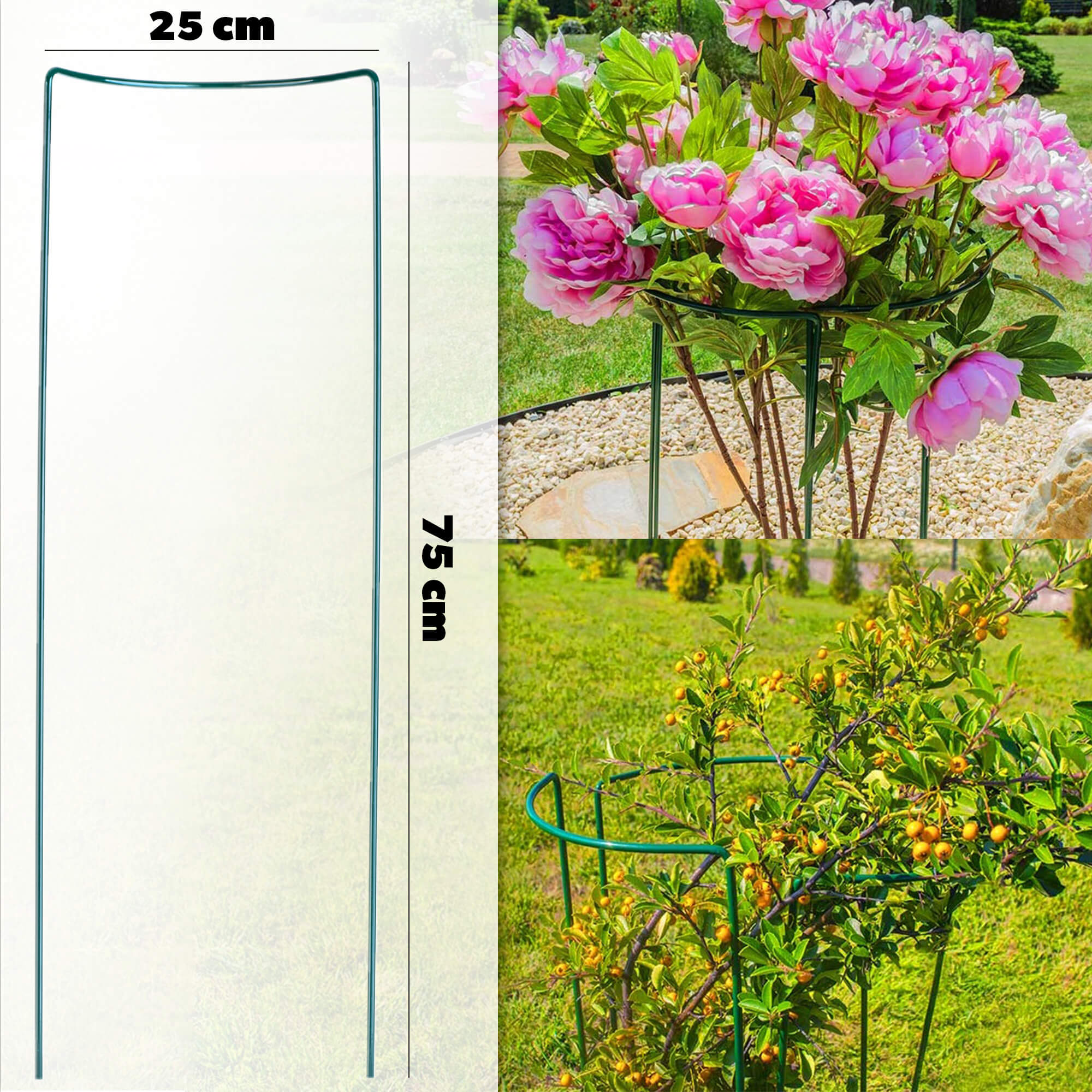 Podpora do roślin Asta 75 cm 3 szt.