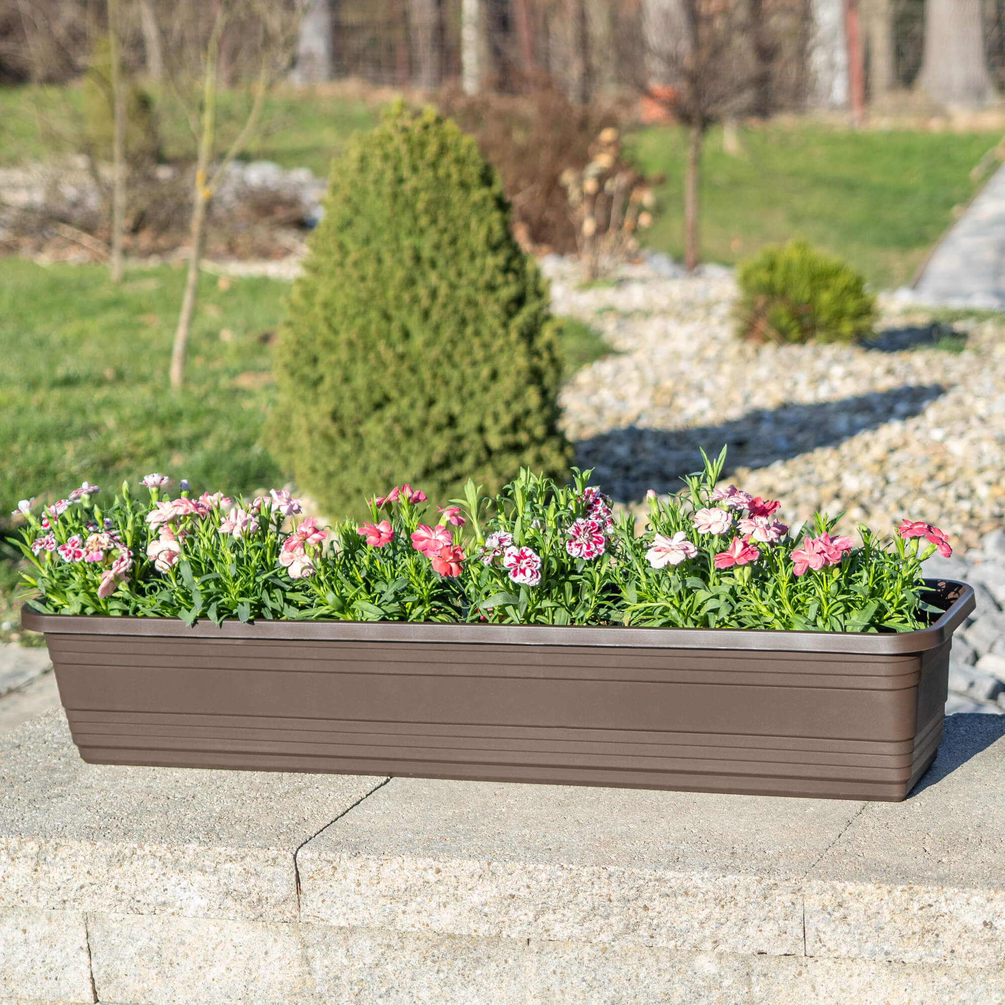 Skrzynka balkonowa Paulin 50cm mokka