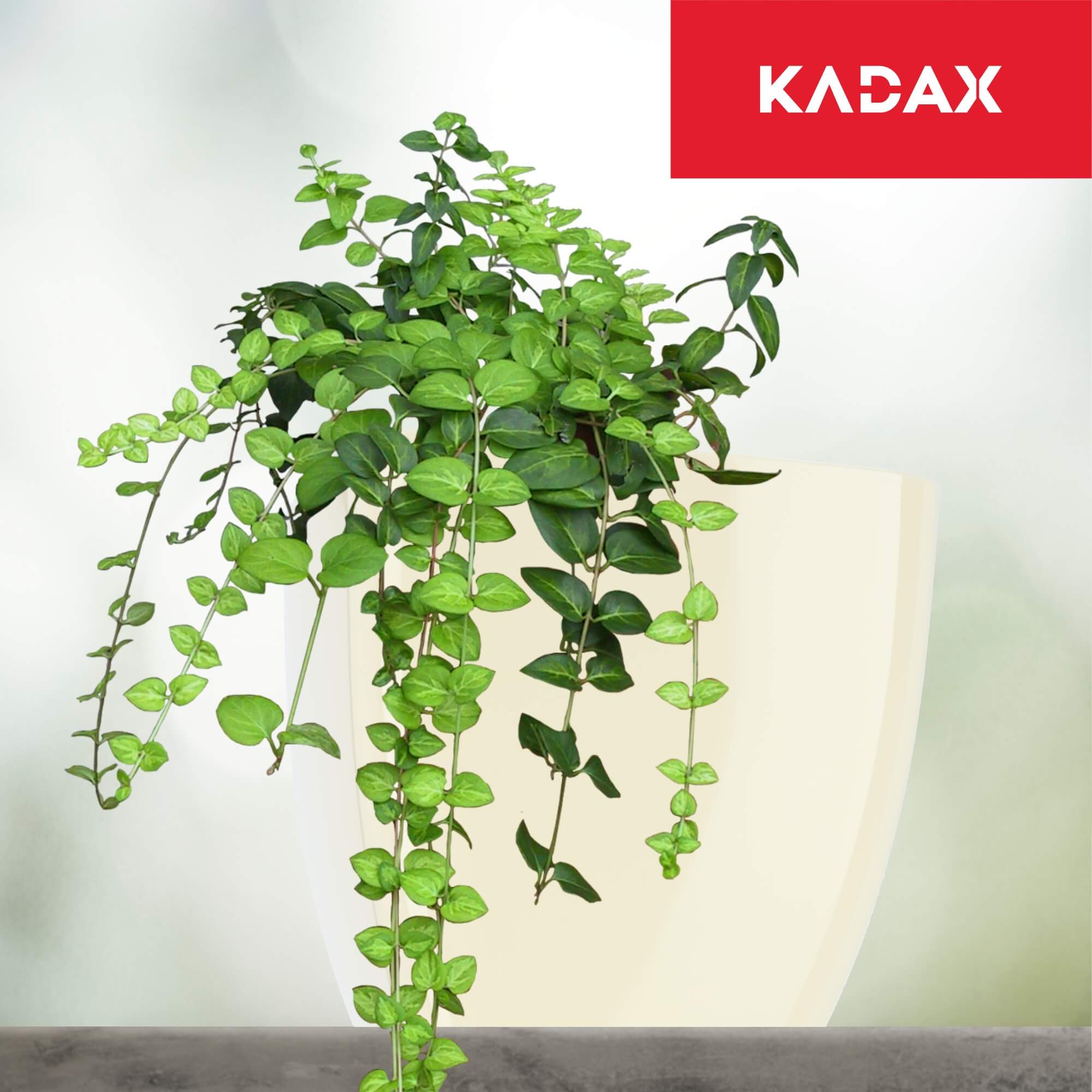 Doniczka kwadratowa Borgo 12 cm, kremowa