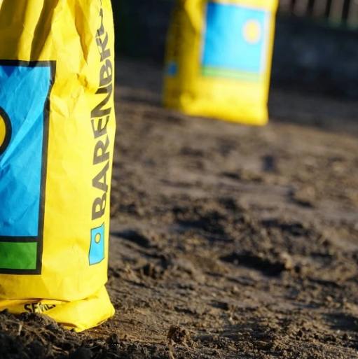 Trawa sportowa Barenbrug Uniwersal RPR Play&Sport 15kg