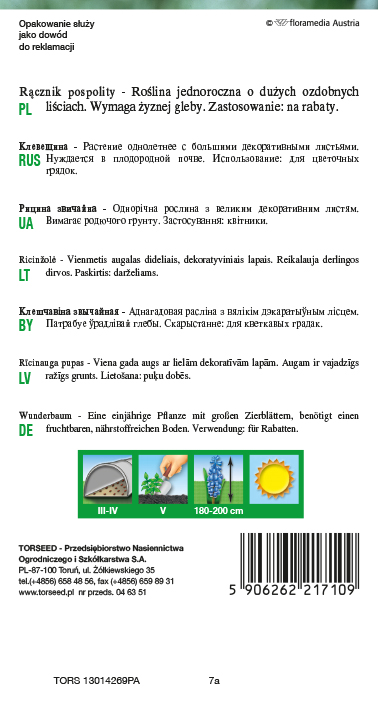 Rącznik - Ricinus communis czerwonolistny 6g