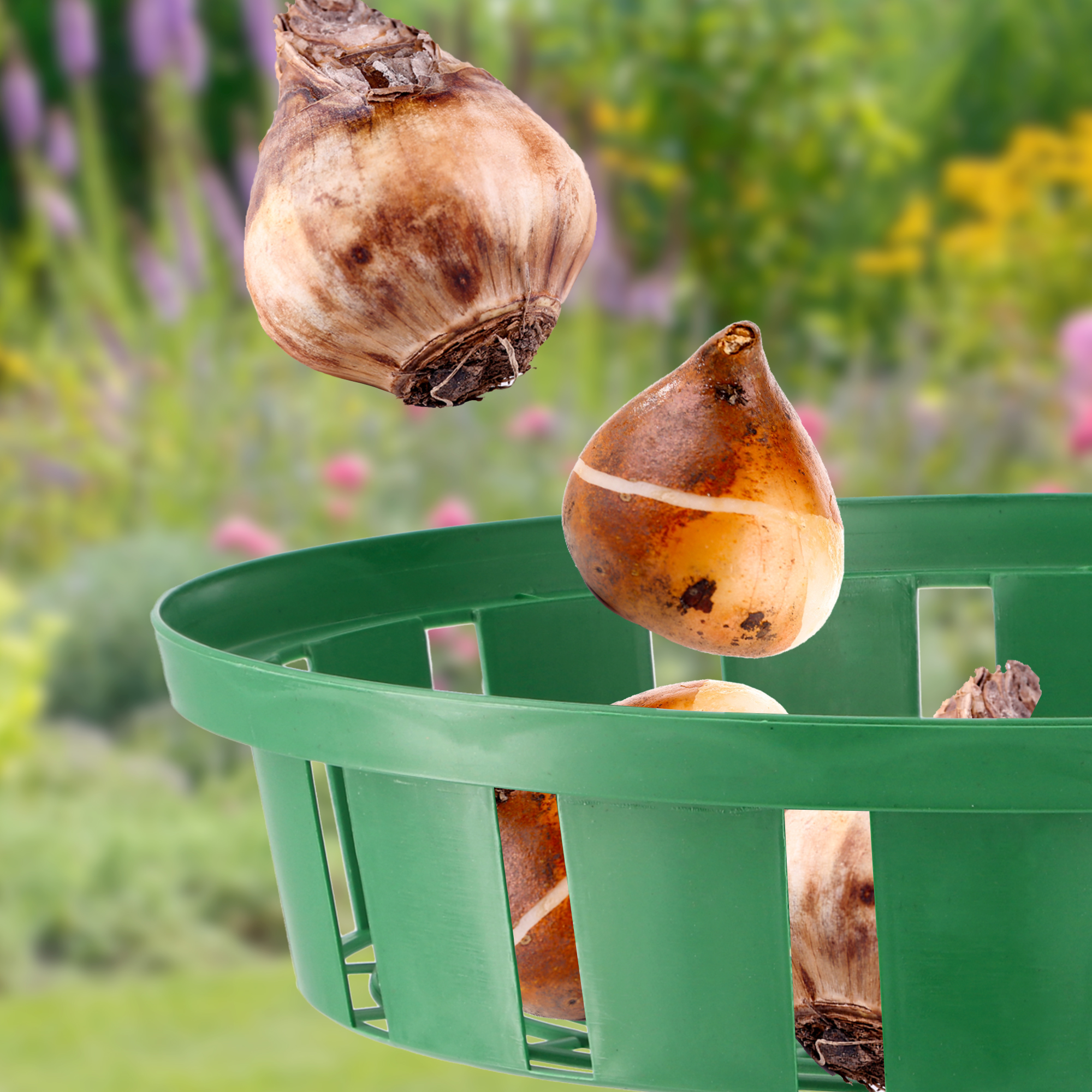 Koszyk do cebulek Julis 23 cm, 10 szt.