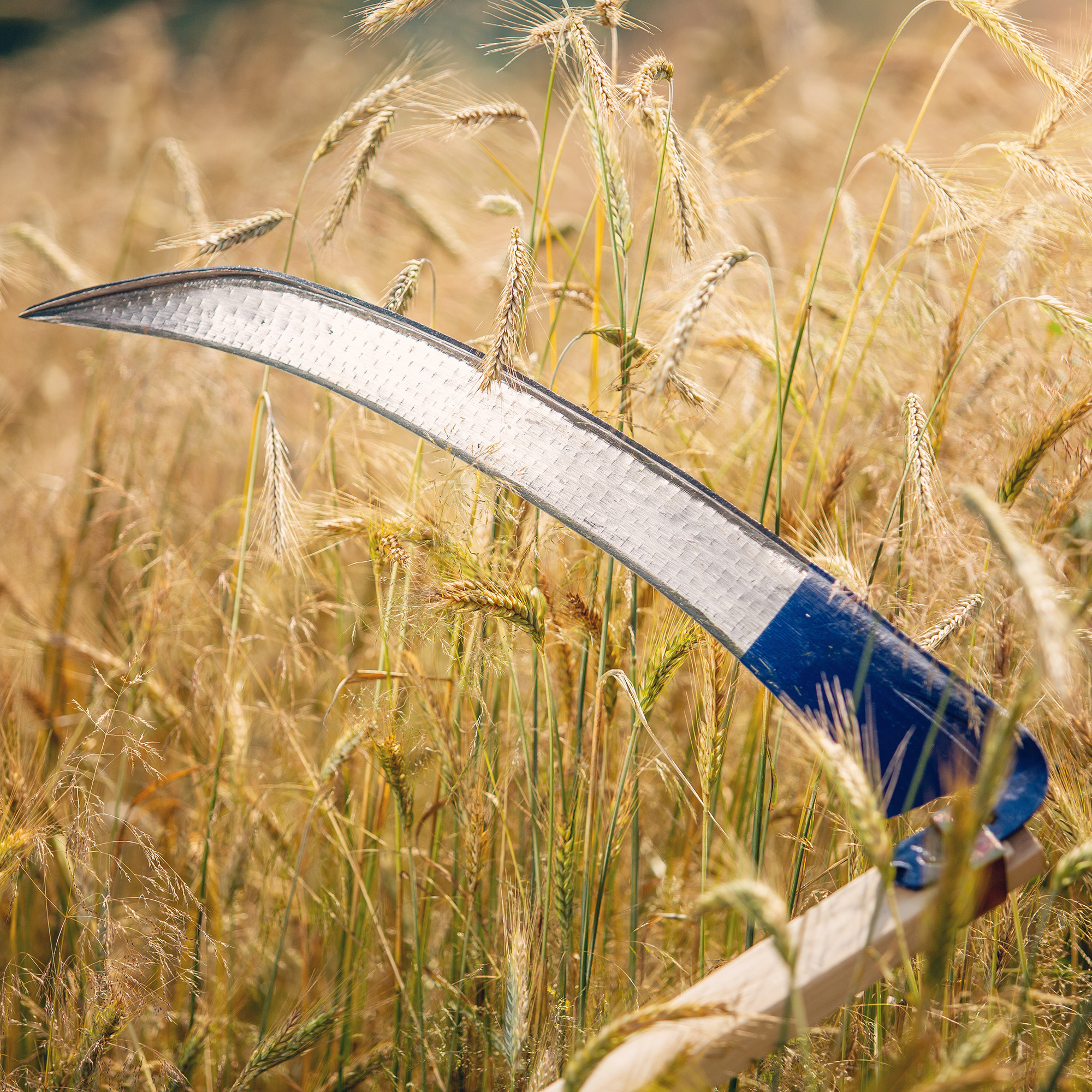 Kosa ogrodowa metalowa Civita 80 cm, niebieska