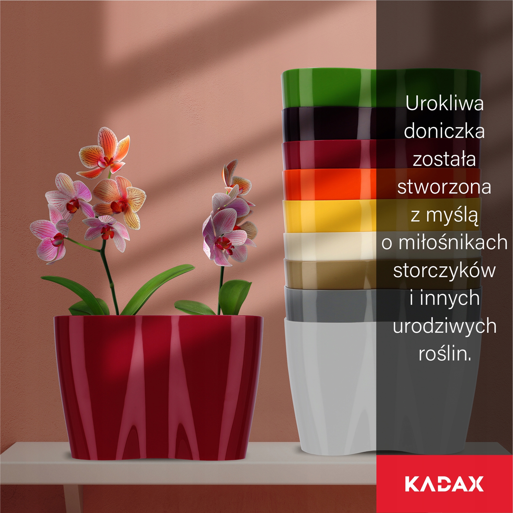 Doniczka do storczyków podwójna Fermo 23 x 15 cm, amarant