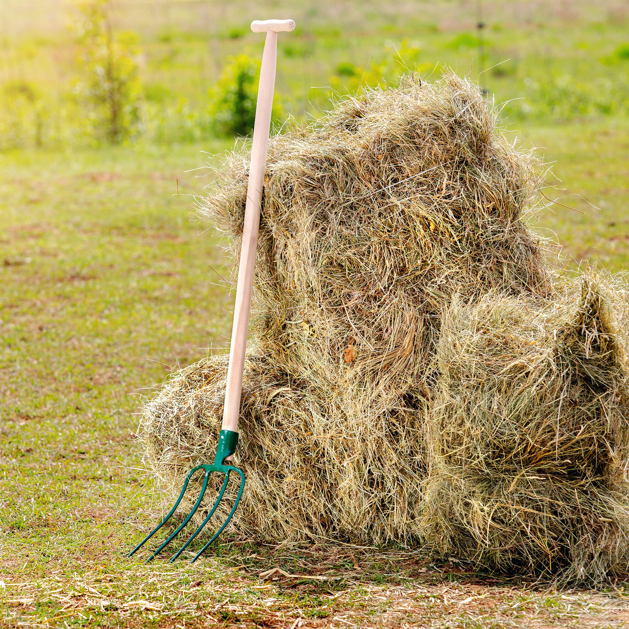 Widły do siania Varzi 4 zęby 129 cm, zielone
