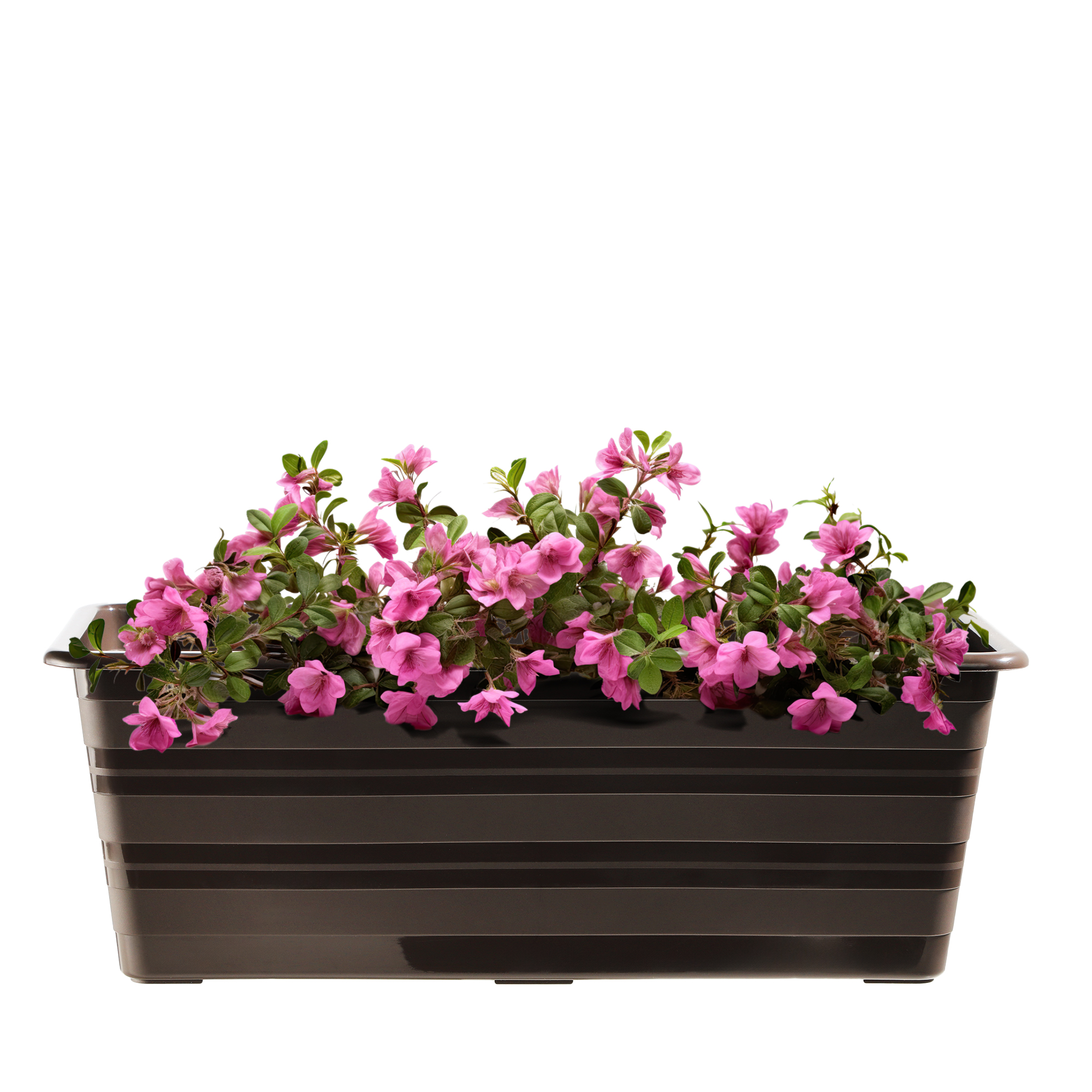 Doniczka balkonowa Cati 40 cm + podstawka 40 cm, brąz