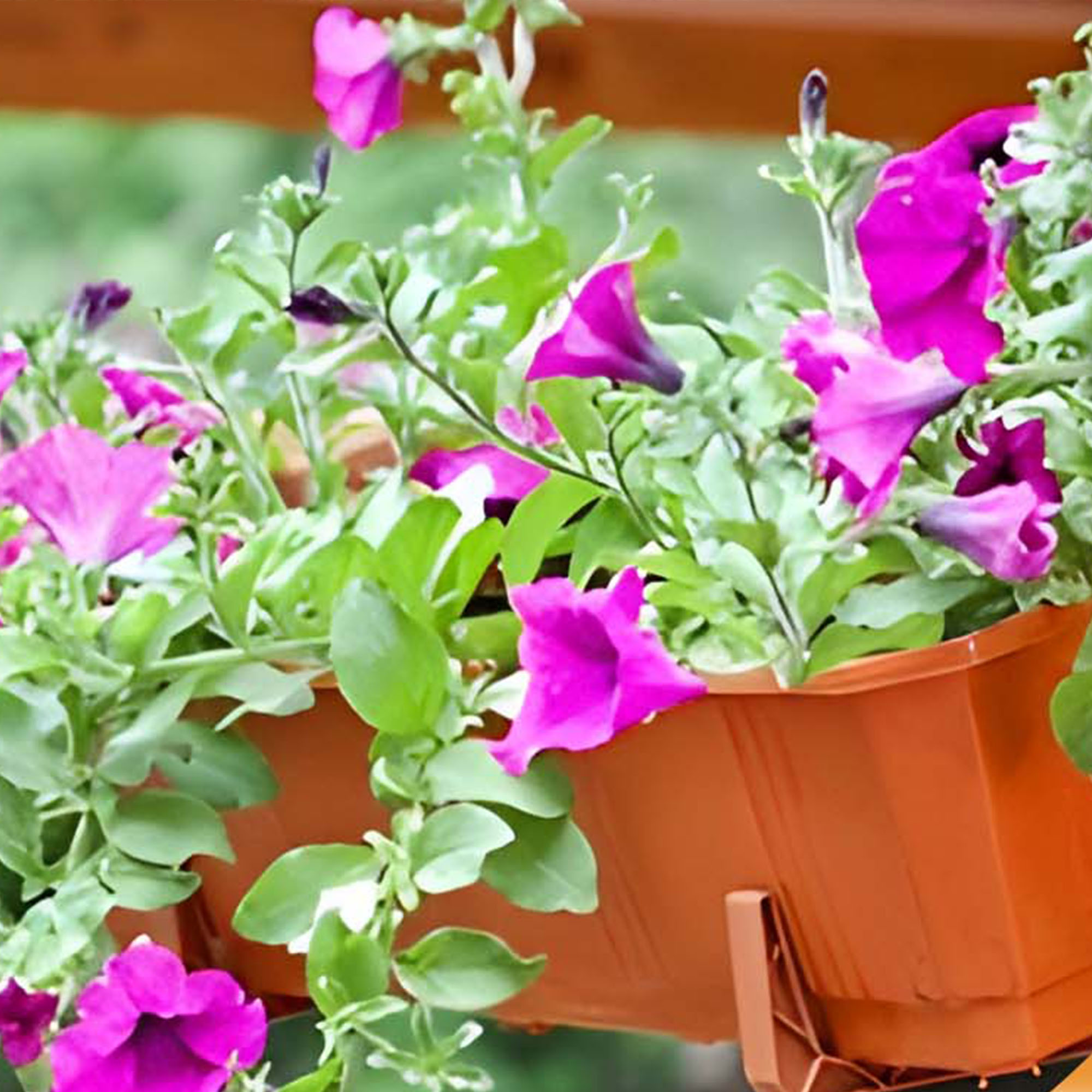 Doniczka balkonowa z uchwytami Oste 40 cm + 60 cm, terakota