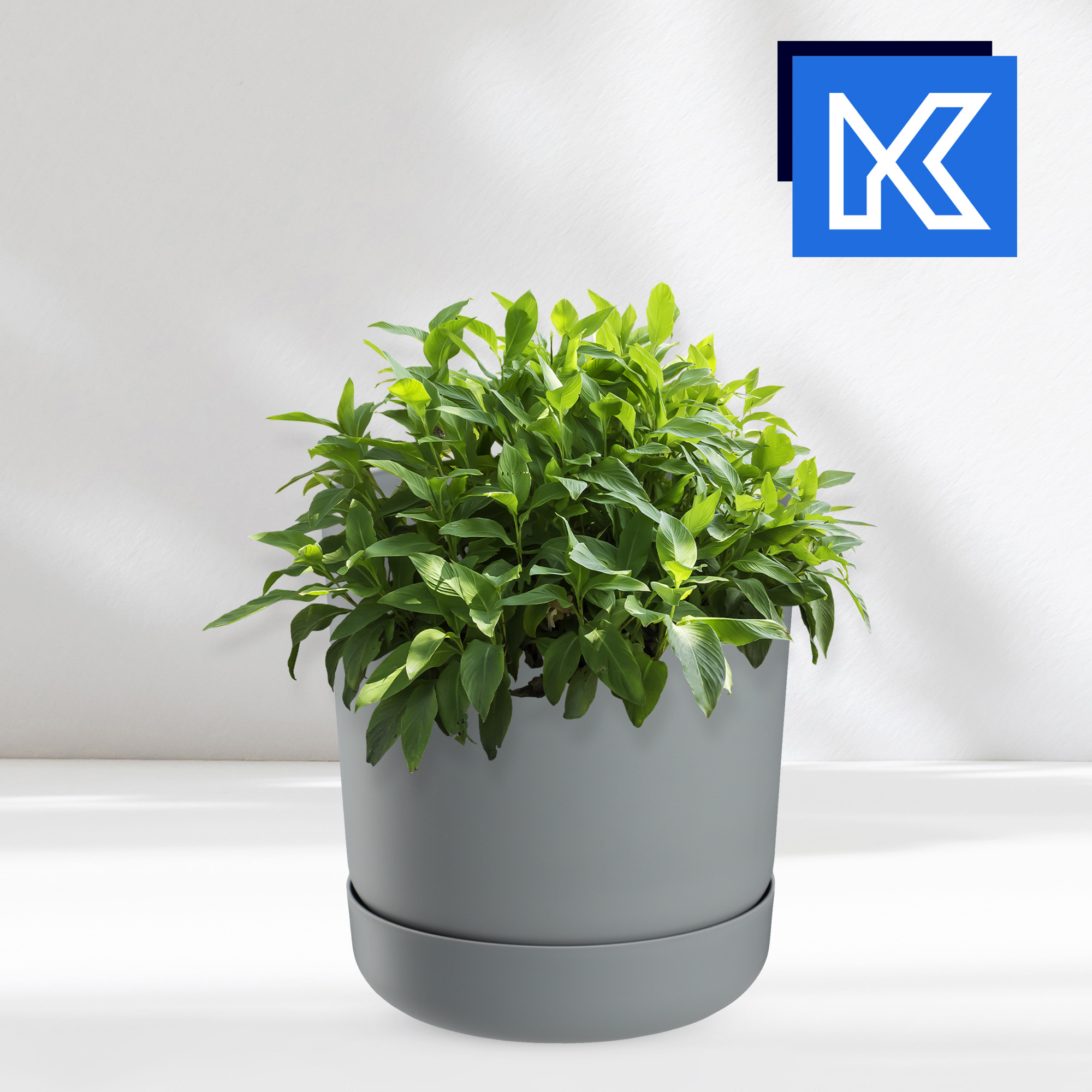 Doniczka Kama z podstawką 13 cm, platyna