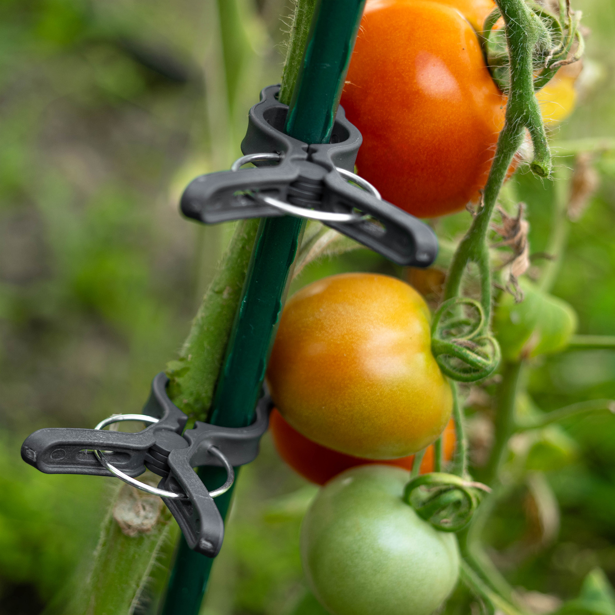 Klipsy do mocowania roślin Paldo 7.5 x 5.5 cm szare 10 szt.