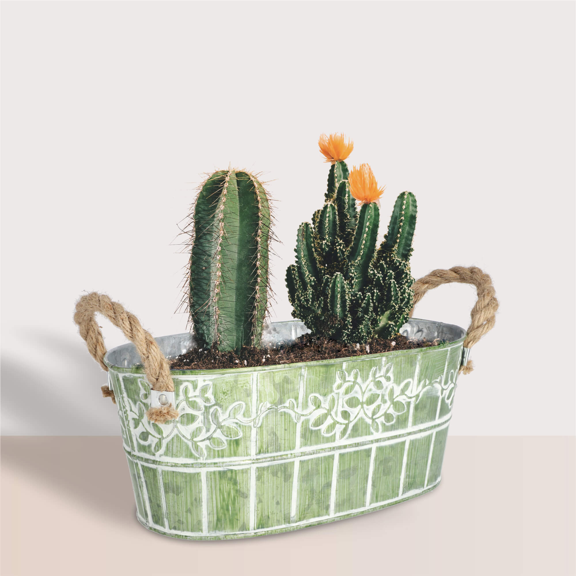 Osłonka na doniczkę z uchwytami 25 x 14 cm, zielona