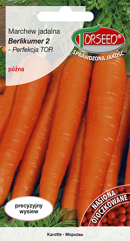 Marchew jadalna Berlikumer 2 - Perfekcja TOR 300g