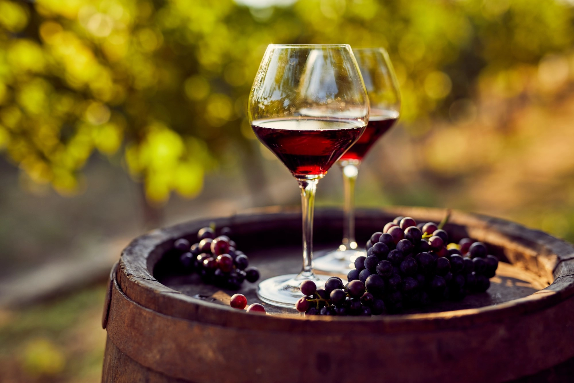 wino z winogron