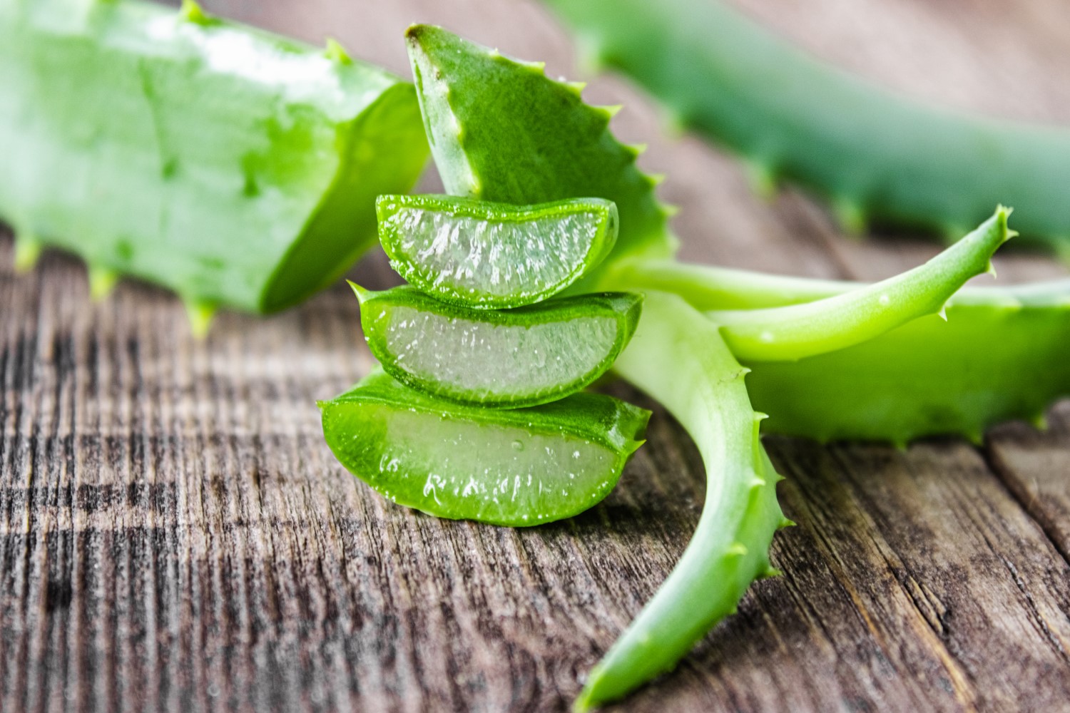 Jak stosować aloes?