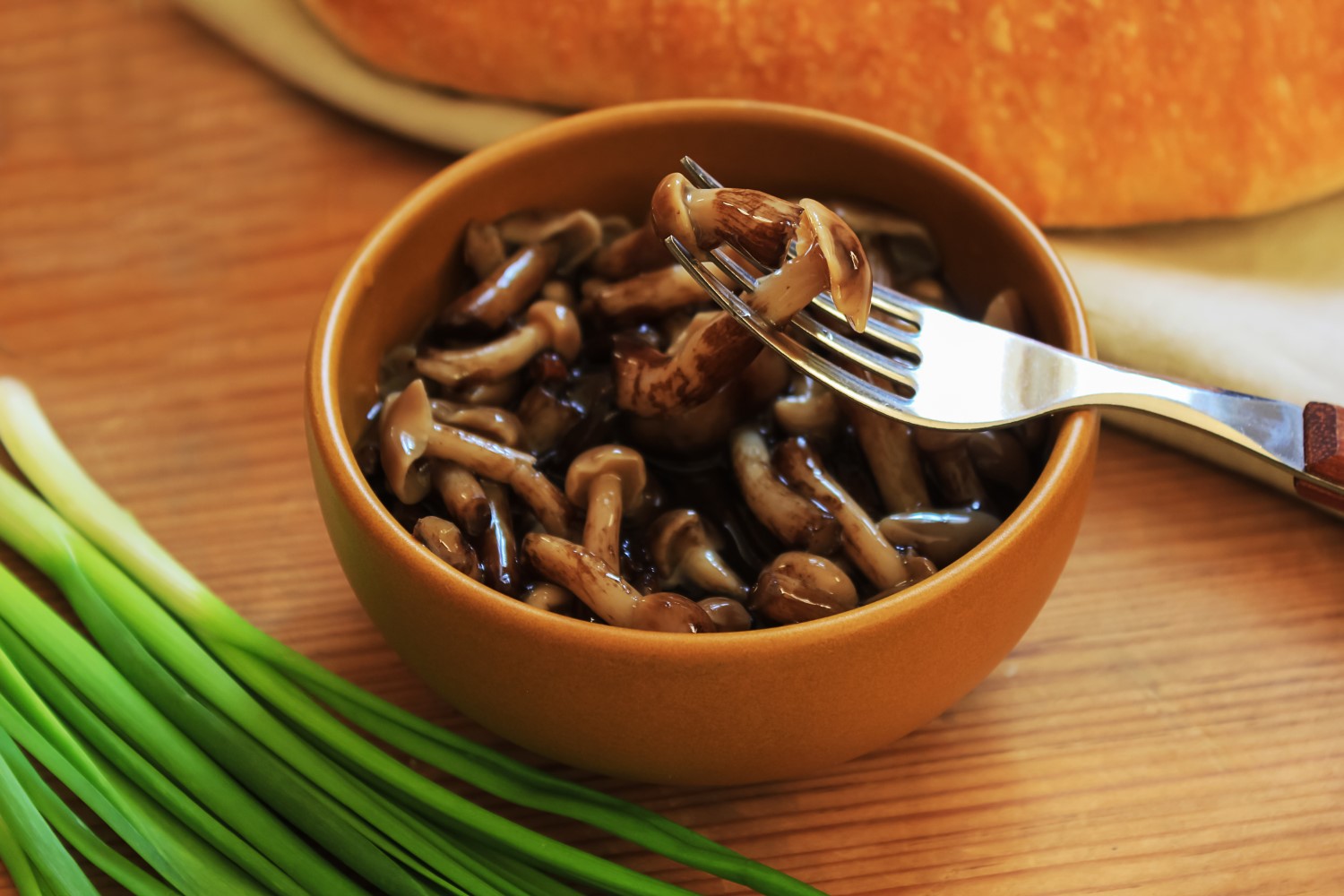 Jakie grzyby wybrać?