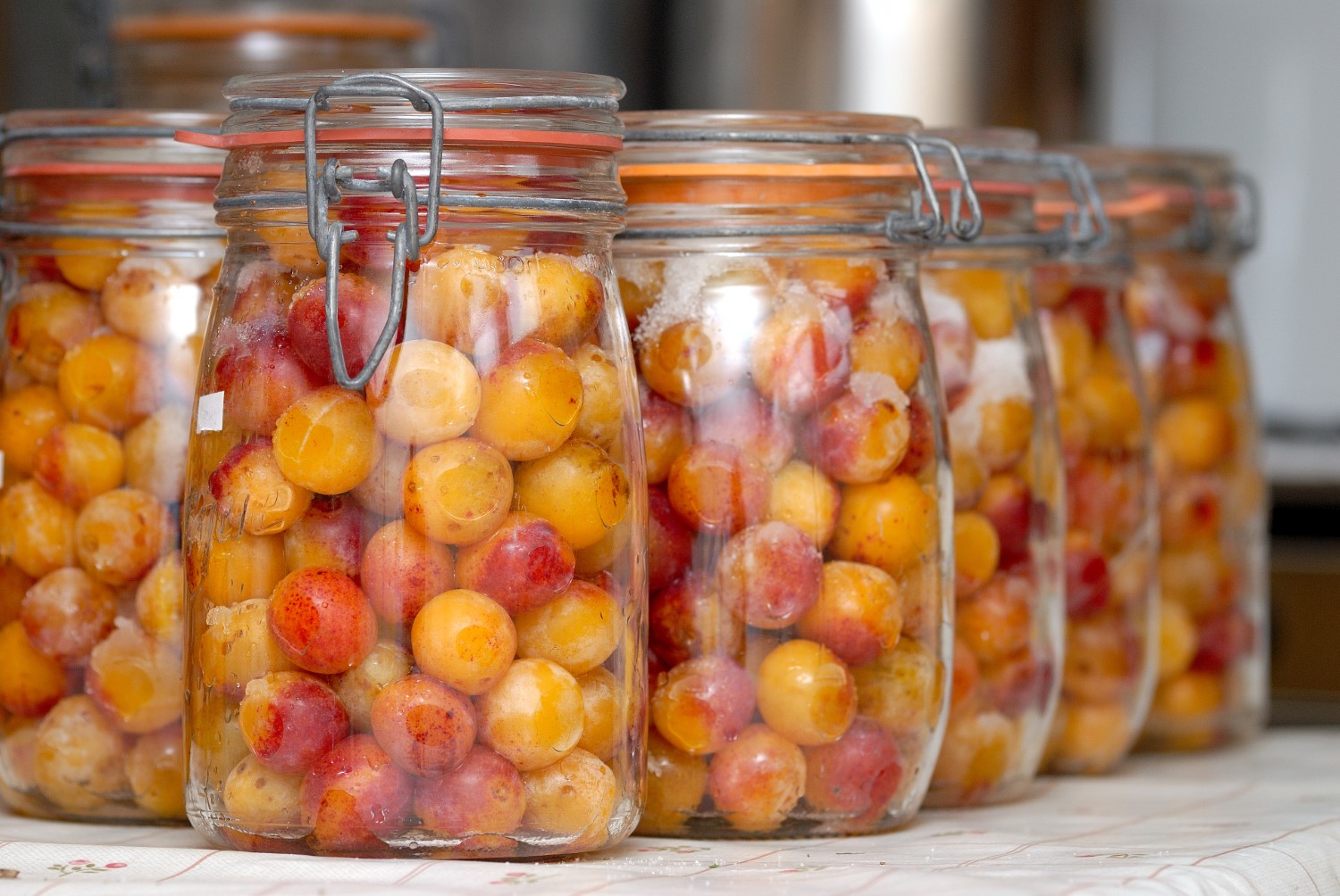 Filtrowanie i butelkowanie nalewki i mirabelek