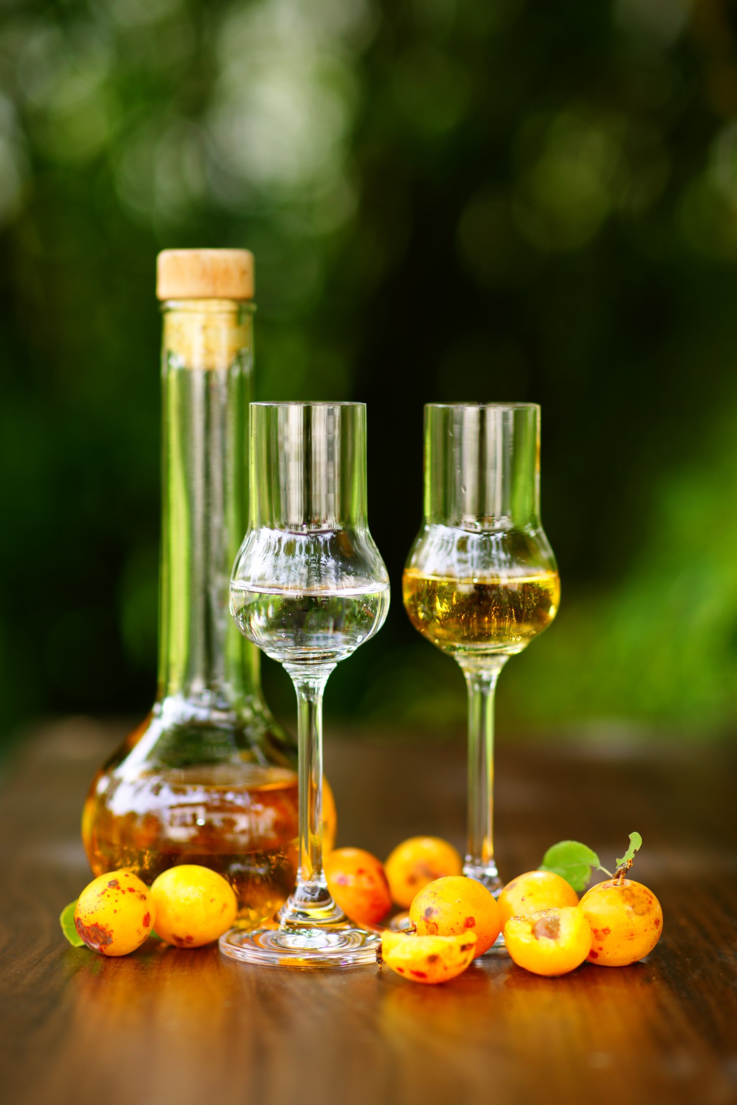 Nalewka z mirabelek – podsumowanie