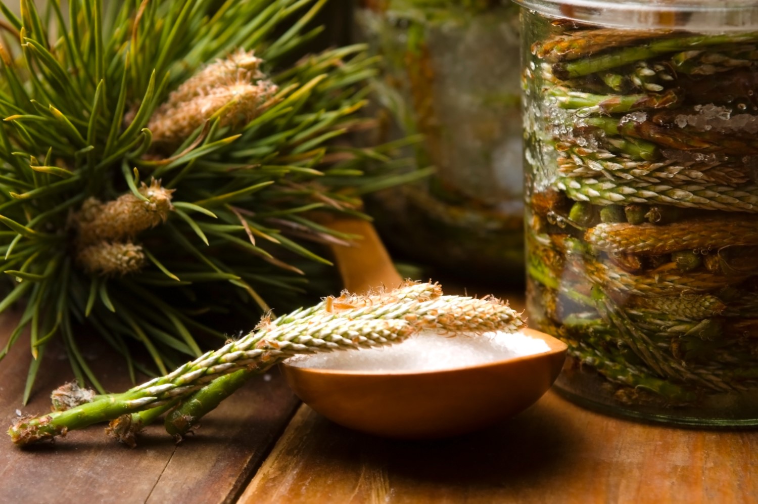 Jak zrobić nalewkę z pędów sosny?