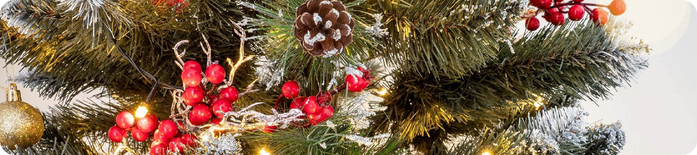 Świąteczny klimat zaczyna się tutaj!